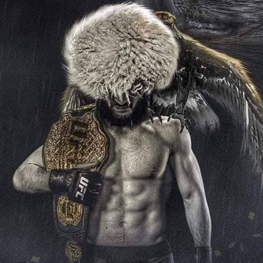 بیوگرافی حبیب نورمحمدوف قهرمان MMA؛ از مسابقات تا زندگی و ازدواج 12 تاثیر و اهمیت حبیب نورمحمدوف