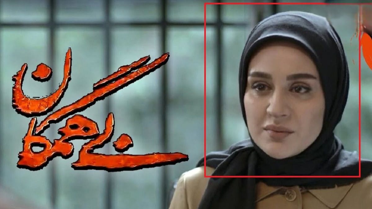 بیوگرافی میترا رفیع؛ زندگی خصوصی، همسر، ازدواج و فیلم های او 5 سریال بی همگان
