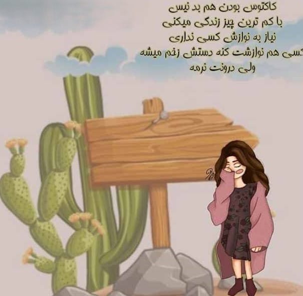 متن درباره گل کاکتوس 🌵؛ جملات استوری و کپشن احساسی 3 عکس نوشته درباره کاکتوس