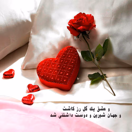 متن در مورد گل رز 🌹؛ جملات و دلنوشته درباره گل رز سرخ 4 متن های زیبا درباره گل رز