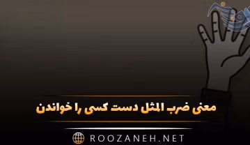 ضرب المثل دست کسی را خواندن