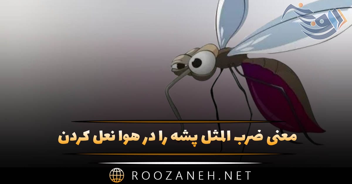 معنی ضرب المثل پشه را در هوا نعل کردن (منی لغوی، کنایه ای و کاربرد آن) 1 معنی ضرب المثل پشه را در هوا نعل کردن (منی لغوی، کنایه ای و کاربرد آن)