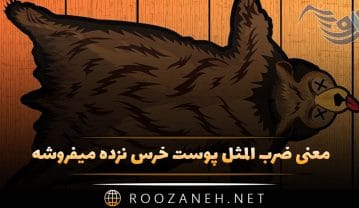 معنی ضرب المثل پوست خرس نزده میفروشه (داستان کامل) ضرب المثل پوست خرس نزده میفروشه