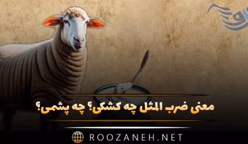 ضرب المثل چه کشکی؟ چه پشمی؟