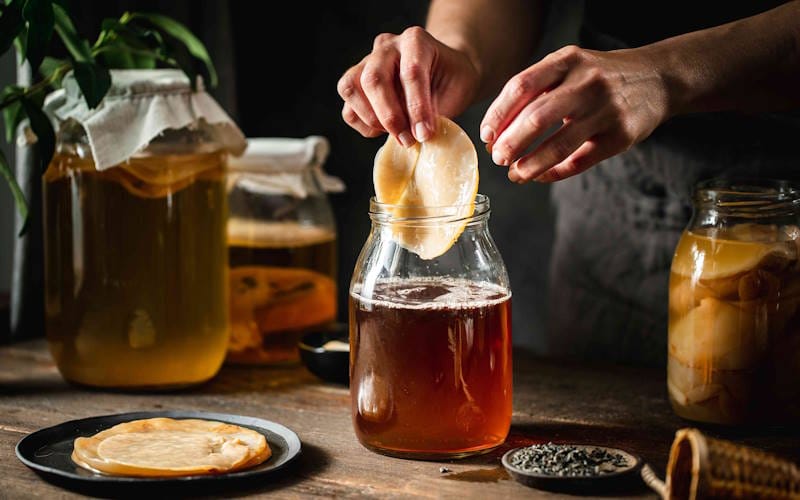 طرز تهیه انواع پروبیوتیک در خانه برای بهبود سلامت روده و گوارش 5 نوشیدنی کومبوچا (Kombucha)