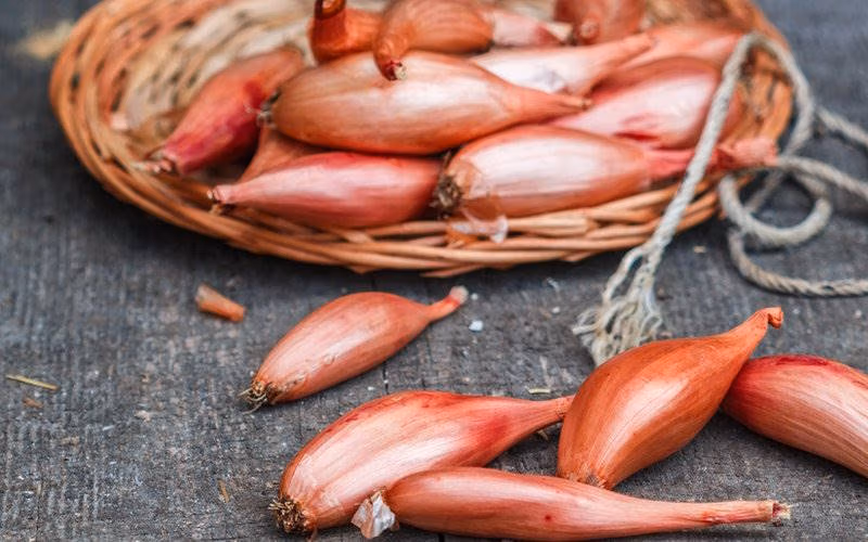 چرا قرص آنتی بیوتیک نخوریم؟ بهترین جایگزین های طبیعی بدون عوارض 4 پیاز؛ درمان سنتی برای عفونت های تنفسی و ویروسی
