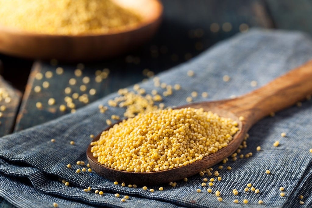 تعبیر خواب ارزن؛ معنی خواب دانه دادن به پرندگان و تعابیر آن