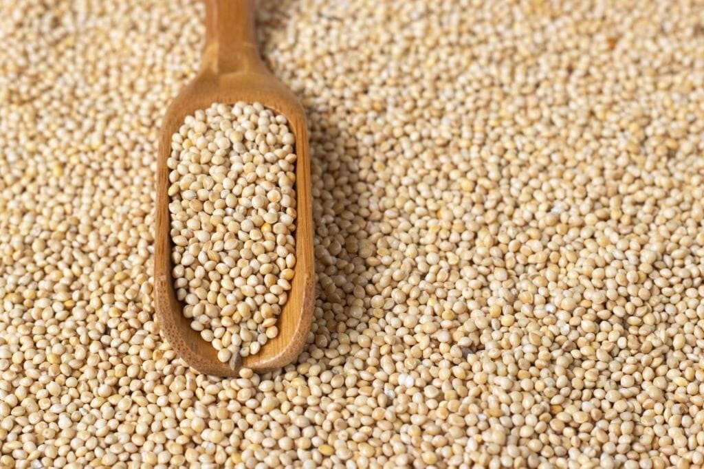 تعبیر خواب ارزن؛ معنی خواب دانه دادن به پرندگان و تعابیر آن