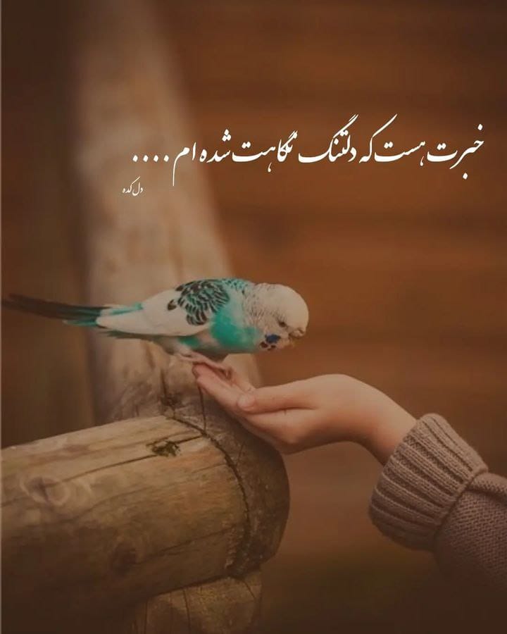 عکس نوشته غم (عکس های بسیار غمگین و غم دار سنگین) 12 عکس نوشته غم