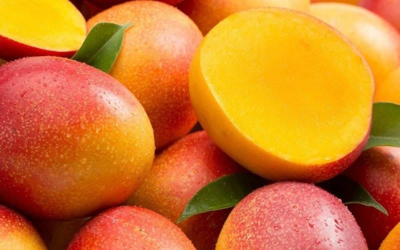 بهترین میوه ها برای درمان و پیشگیری سرماخوردگی (لیست میوه های مفید) 7 انبه