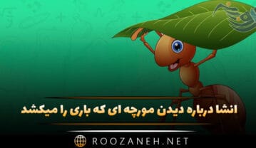 انشا درباره دیدن مورچه
