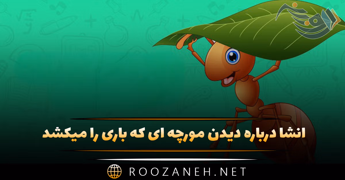 انشا درباره دیدن مورچه ای که باری را میکشد؛ ۱۰ انشا کامل 1 انشا درباره دیدن مورچه ای که باری را میکشد؛ ۱۰ انشا کامل