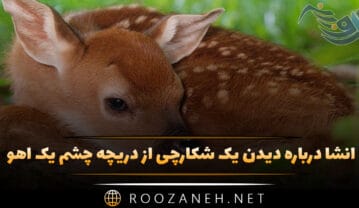 انشا درباره دیدن یک شکارچی از دریچه چشم یک آهو (۱۰ انشا جدید) انشا درباره دیدن یک شکارچی