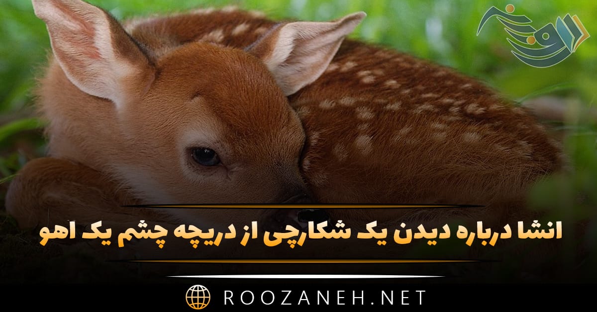 انشا درباره دیدن یک شکارچی از دریچه چشم یک آهو (۱۰ انشا جدید)