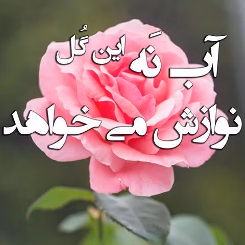 متن در مورد گل و گلدان 💐؛ جملات زیبا و احساسی درباره زیبایی گل 4 جملات احساسی گل و گلدان
