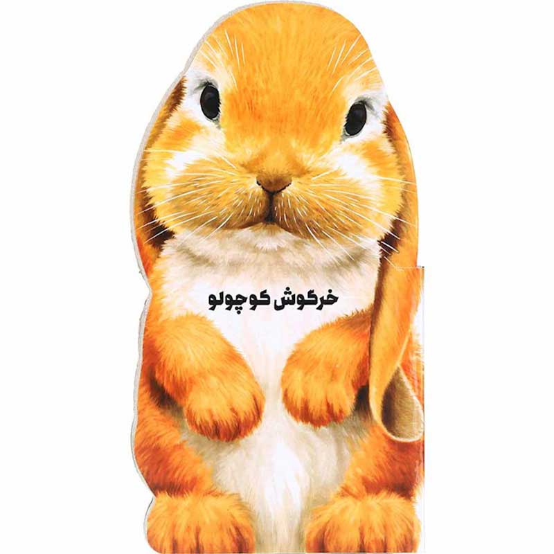 قصه بچگانه با موضوع روز مادر (۱۰ داستان شیرین درباره مادر) 4 خرگوش کوچولو و کادوی طلایی