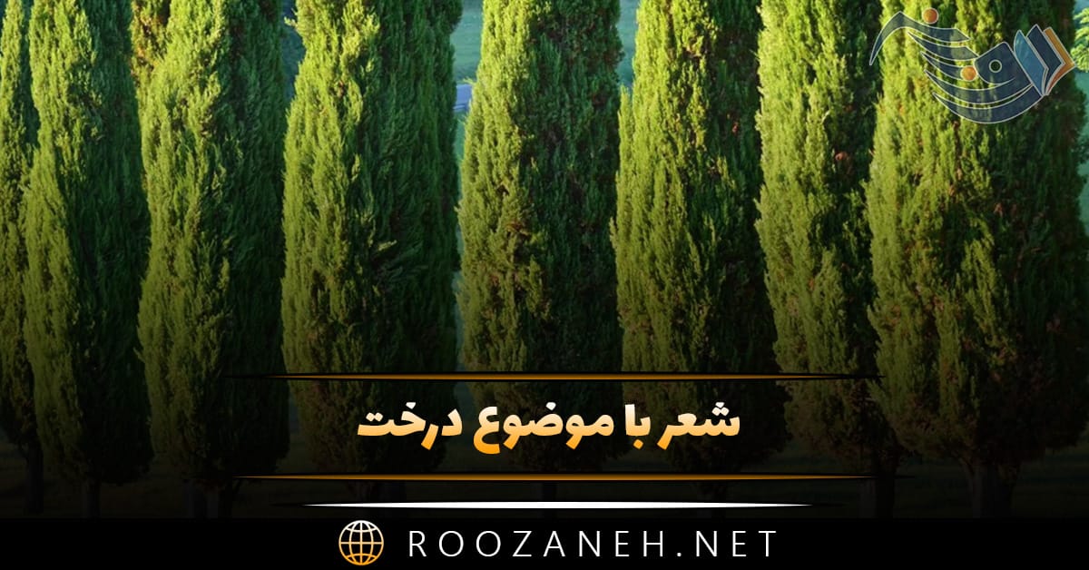 شعر با موضوع درخت 🌲؛ اشعار دلنشین در وصف درخت، طبیعت و درختان 1 شعر با موضوع درخت 🌲؛ اشعار دلنشین در وصف درخت، طبیعت و درختان