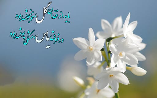 شعر کوتاه در مورد گل 🌷 (اشعار احساسی گل های رنگارنگ) 3 شعر زیبا با موضوع گل