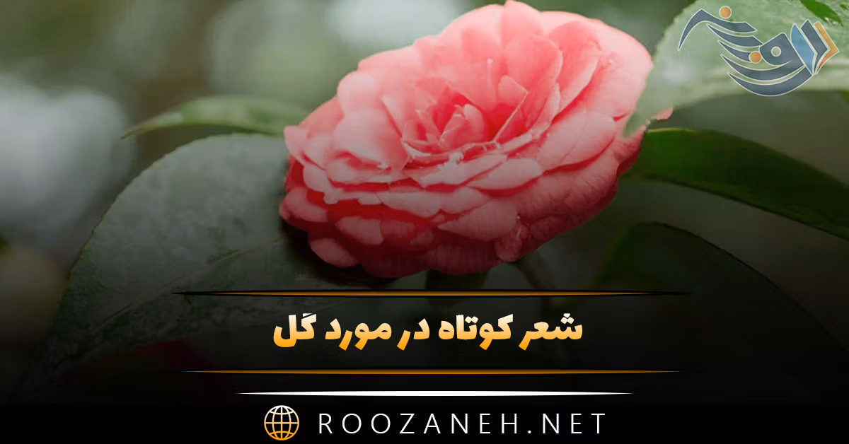 شعر کوتاه در مورد گل 🌷 (اشعار احساسی گل های رنگارنگ) 1 شعر کوتاه در مورد گل 🌷 (اشعار احساسی گل های رنگارنگ)