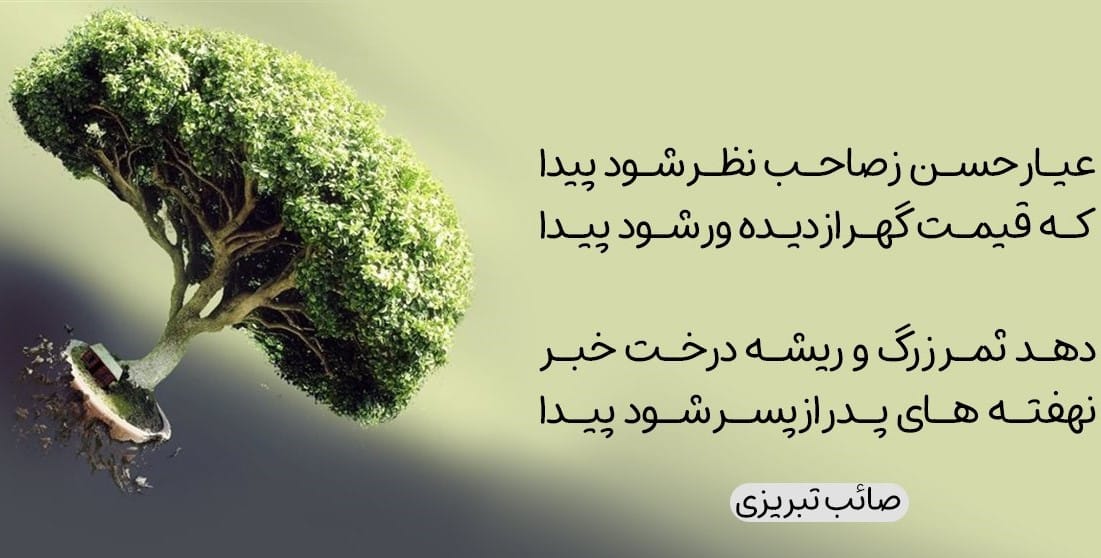 شعر با موضوع درخت 🌲؛ اشعار دلنشین در وصف درخت، طبیعت و درختان 2 شعرهای زیبا با موضوع درخت
