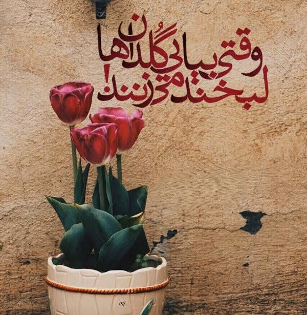 متن در مورد گل و گلدان 💐؛ جملات زیبا و احساسی درباره زیبایی گل 3 عکس نوشته زیبا درباره گل و گلدان