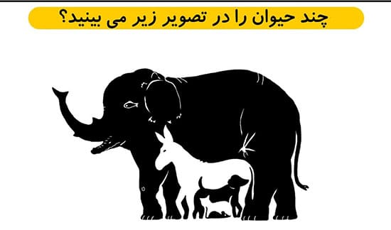 چیستان با موضوع حیوان شناسی 🦝 (معماهای جالب آسان و سخت حیوانات) 4 عکس نوشته چیستان معما