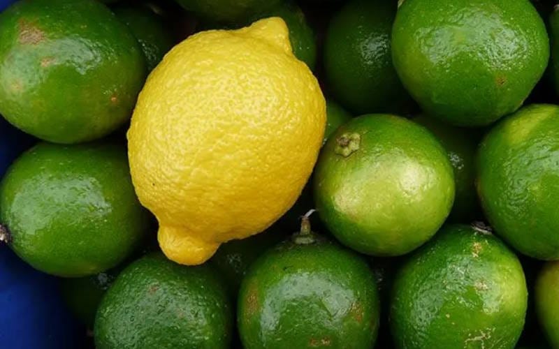 بهترین میوه ها برای درمان و پیشگیری سرماخوردگی (لیست میوه های مفید) 3 لیموترش