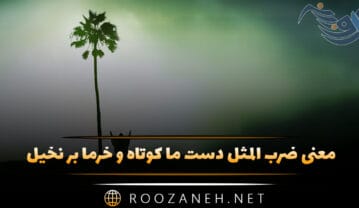معنی ضرب المثل دست ما کوتاه و خرما بر نخیل (توضیح و شعر آن) ضرب المثل دست ما کوتاه و خرما بر نخیل