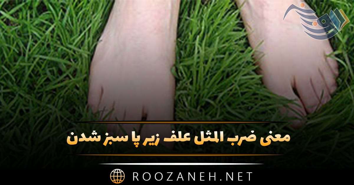 معنی ضرب المثل علف زیر پا سبز شدن + حکایت قدیمی زیبا 1 معنی ضرب المثل علف زیر پا سبز شدن + حکایت قدیمی زیبا