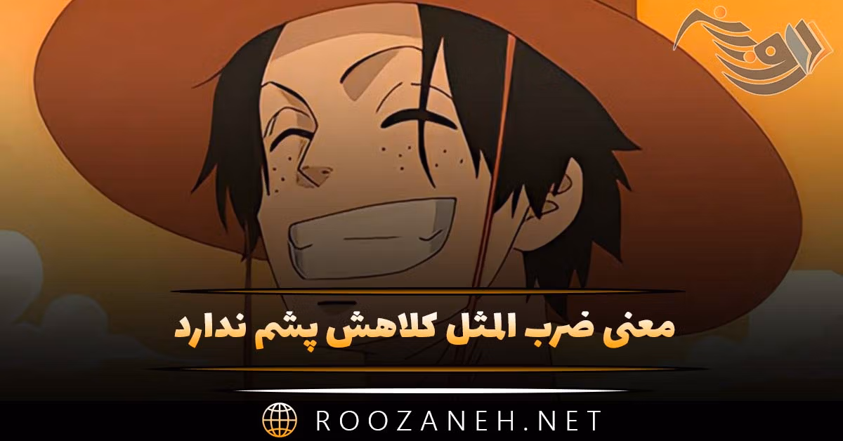 معنی ضرب المثل كلاهش پشم ندارد + با داستان جالب