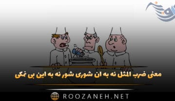 معنی ضرب المثل نه به آن شوری شور نه به این بی نمکی (تاریخچه و انشا) ضرب المثل نه به آن شوری شور