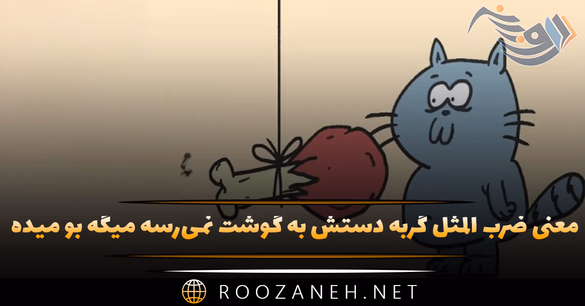 معنی ضرب المثل گربه دستش به گوشت نمی‌رسه میگه بو میده + داستان