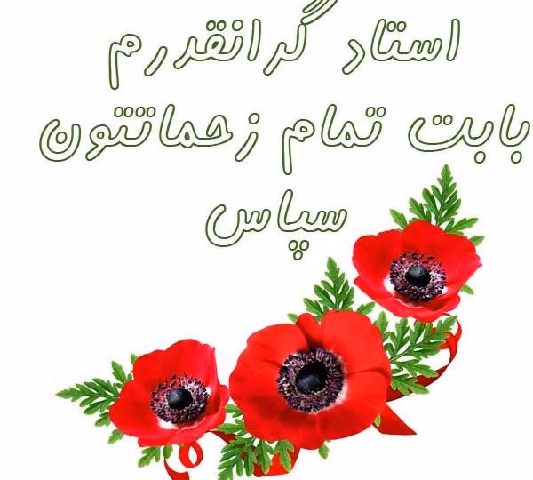 متن تشکر از زحمات استاد 👨🏫؛ جملات ابراز احساس و قدردانی 2 پیام های تشکر از زحمات استاد