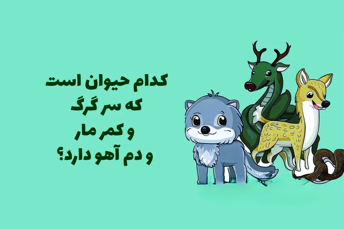 چیستان با موضوع حیوان شناسی 🦝 (معماهای جالب آسان و سخت حیوانات) 2 چیستان های جذاب درباره حیوانات
