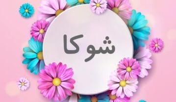 نام شوکا؛ ریشه و خاستگاه این اسم مازنی (نام های پسرانه و دخترانه مشابه) نام شوکا