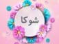نام شوکا؛ ریشه و خاستگاه این اسم مازنی (نام های پسرانه و دخترانه مشابه) نام شوکا