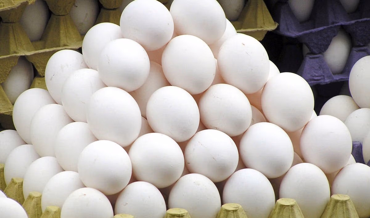 تعبیر خواب تخم مرغ 🥚؛ تعابیر خواب تخم مرغ سالم، بزرگ، رنگی و ... 2 تعبیر خواب تخم مرغ؛ تعابیر خواب تخم مرغ سالم، بزرگ، رنگی و ...