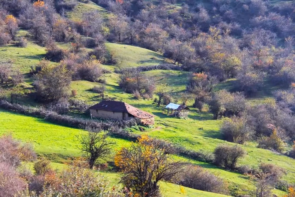 این 7 روستاهای بکر مازندران را قبل از شلوغ شدن باید دید! 4 جنگل کمرپشت