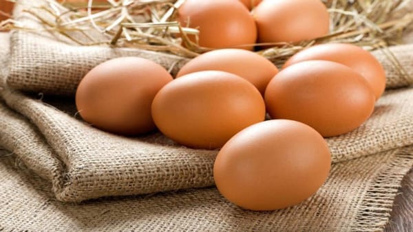 تعبیر خواب تخم مرغ 🥚؛ تعابیر خواب تخم مرغ سالم، بزرگ، رنگی و ... 1 تعبیر خواب تخم مرغ 🥚؛ تعابیر خواب تخم مرغ سالم، بزرگ، رنگی و ...