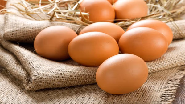 تعبیر خواب تخم مرغ 🥚؛ تعابیر خواب تخم مرغ سالم، بزرگ، رنگی و ... 1 تعبیر خواب تخم مرغ 🥚؛ تعابیر خواب تخم مرغ سالم، بزرگ، رنگی و ...