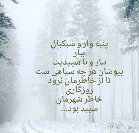 شعر در مورد زمستان و برف؛ اشعار بلند و کوتاه درباره سردی زمستان و برف 2 اشعار زیبای زمستان و برف