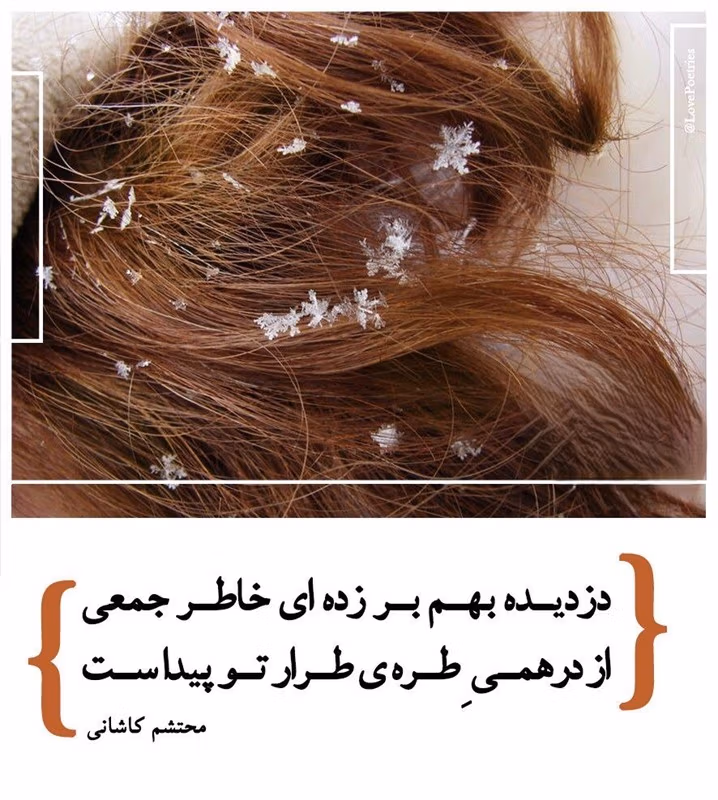 رباعیات محتشم کاشانی | گزیده اشعار عاشقانه شاعر معروف 4 رباعیات محتشم کاشانی