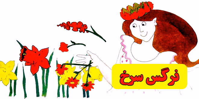 شب گل نرگس