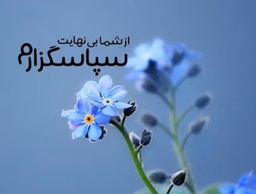 متن تشکر از زحمات شورای شهر؛ جملات رسمی و ادبی قدردانی 4 متن استوری تشکر از شورای شهر