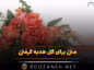 متن برای گل هدیه گرفتن (جملات ادبی احساسی حسِ خوب گل هدیه گرفتن) متن برای گل هدیه گرفتن