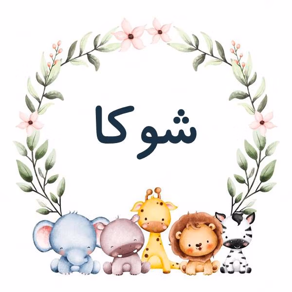 نام شوکا؛ ریشه و خاستگاه این نام مازنی (نام های پسرانه و دخترانه مشابه)