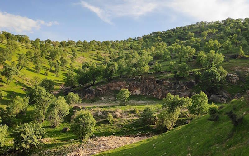 پارک جنگلی شوراب