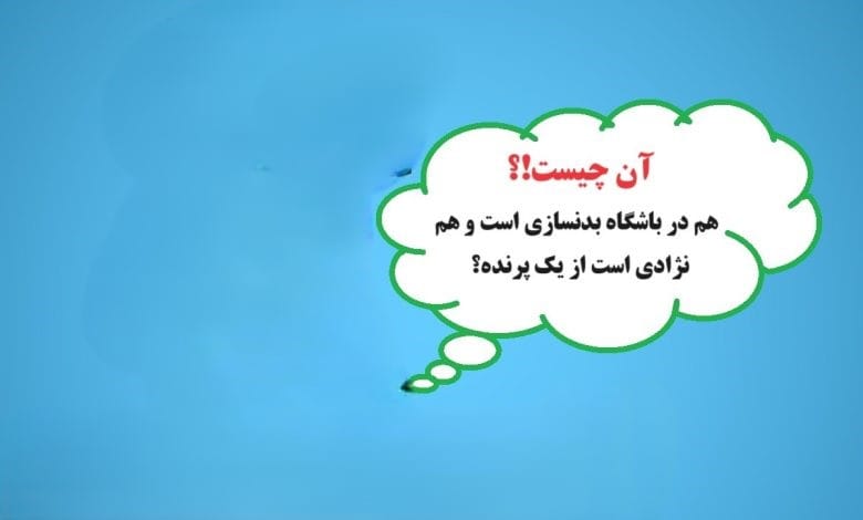 چیستان های سخت ورزشی