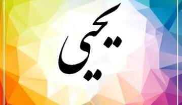 نام یحیی؛ معنی و ریشه این اسم، اعداد ابجد و اسامی مشابه آن نام یحیی