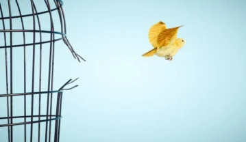 عکس نوشته آزادی